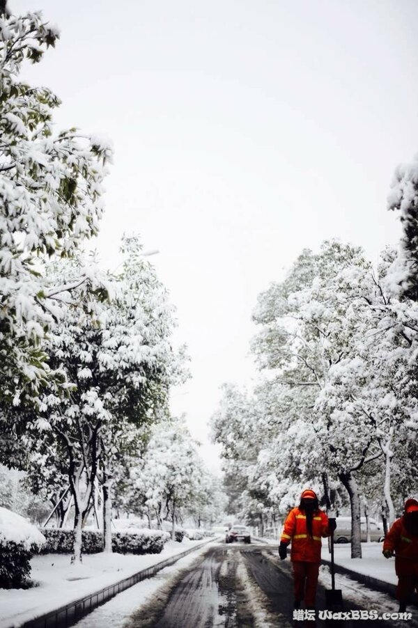 雪.jpg